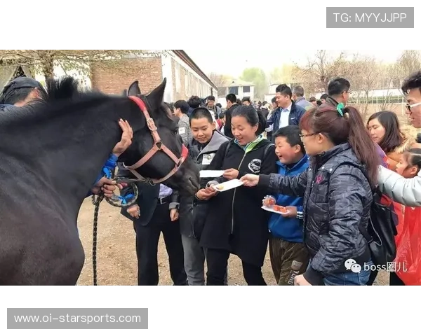 骑士精神：环球马术冠军赛推出自闭症儿童马术康复计划，马术 自闭症